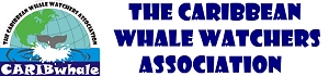 protecting cetaceans and their habitat in the Caribbean,                  promoting responsible whale watching, research, conservation, education and advocacy.