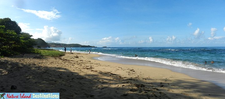 LaTye-coastline looking west